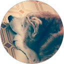 Shibata iCHI (しばた) profile picture